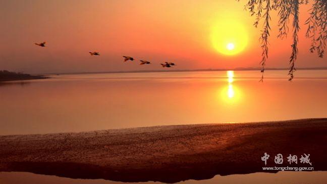 ��ͩ��ӡ�����Ӻ�